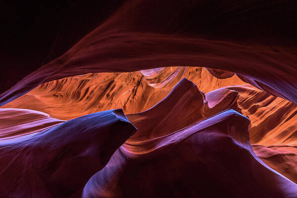 Slot Canyon Poster featuring the photograph Lower Antelope by Chuck Jason