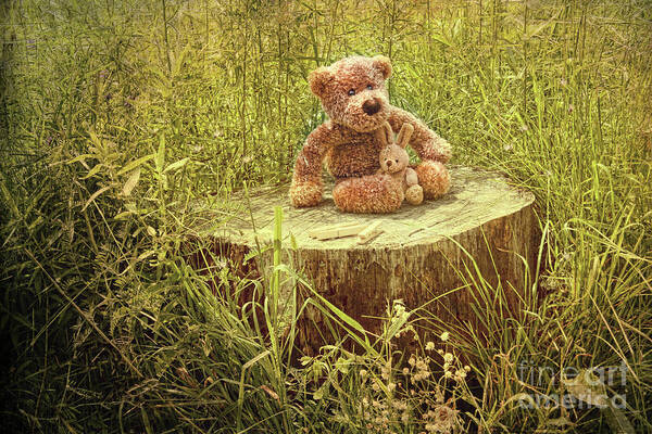 Adorable; Atmosphere; Background; Bear; Brown; Closeup; Cute; Flowers; Fur; Grass; Green; Love; Lovely; Nature; Outside; Pair; Rural; Series; Soft; Summer; Sun; Sweet; Teddy; Teddybear; Toys; Wallpaper; Child; Shoe; Flower; Tree; Stump; Alone; Sad; Poster featuring the photograph Small little bears on old wooden stump by Sandra Cunningham