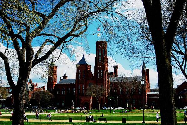 Smithsonian Poster featuring the photograph Smithsonian in the spring by Bill Jonscher