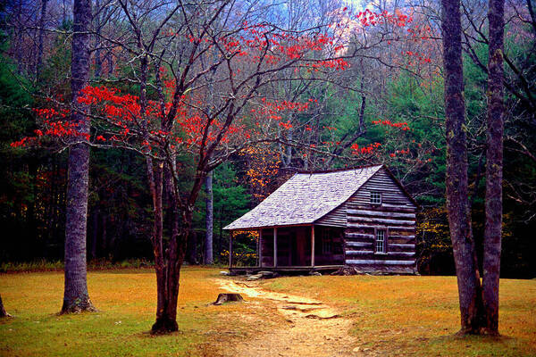 Log Cabin Poster featuring the photograph Smoky Mtn. Cabin by Paul W Faust - Impressions of Light