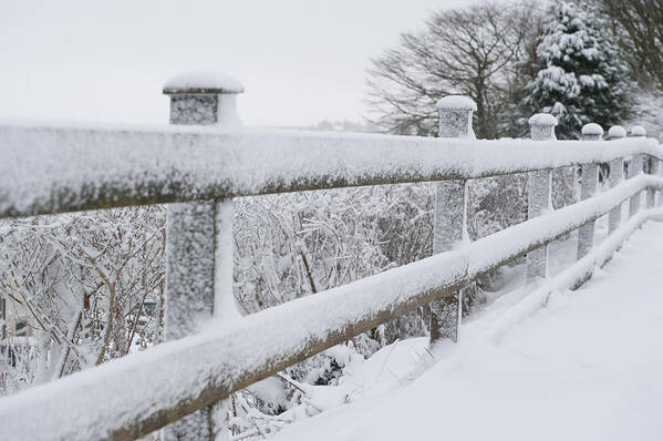 Snow Poster featuring the photograph Snow Covered Fence by Helen Jackson