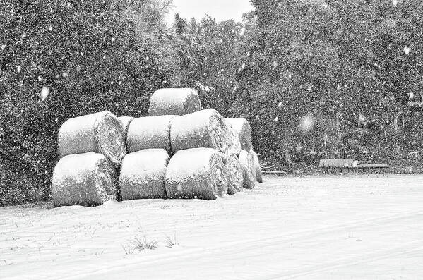 Chisolm Poster featuring the photograph Snow Covered Hay Bales by Scott Hansen