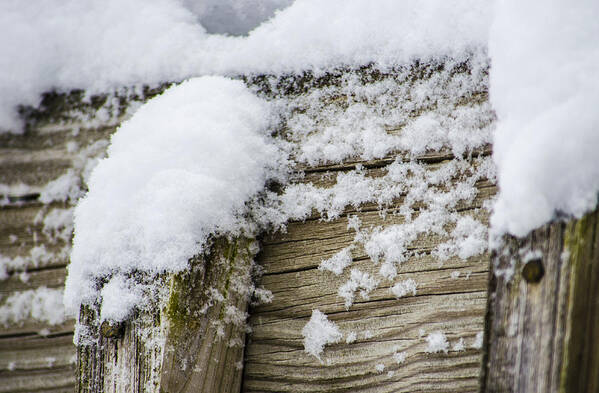 Snow Poster featuring the photograph Snow Fluff and Woodgrain by Deborah Smolinske