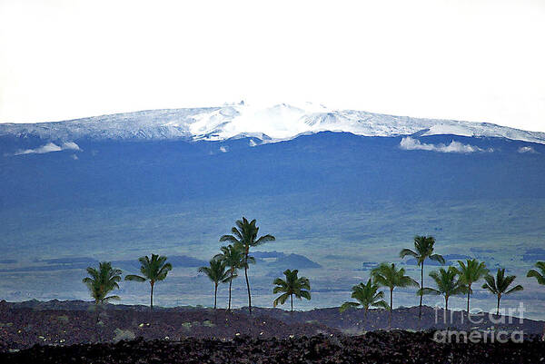 Mauna Kea Poster featuring the photograph Snow on the Mountain by Bette Phelan
