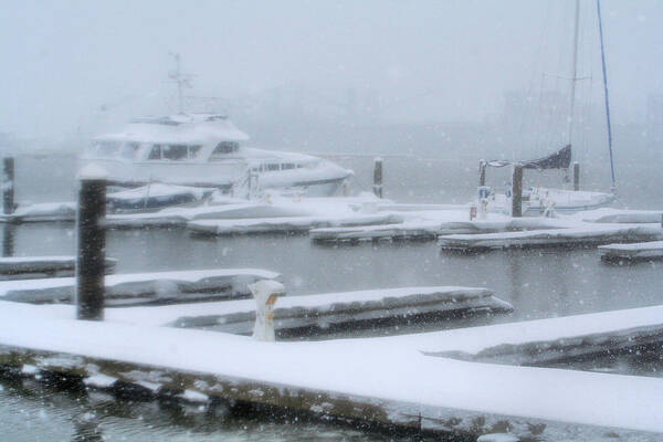  Poster featuring the photograph Snowy Harbor by Ania M Milo