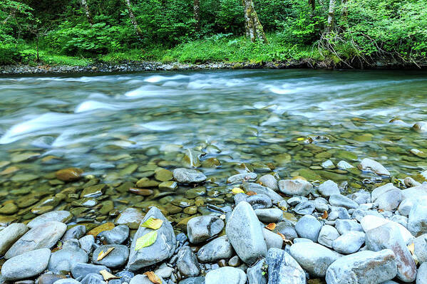 Stream Poster featuring the photograph Sol Duc River in Summer by Kyle Lee