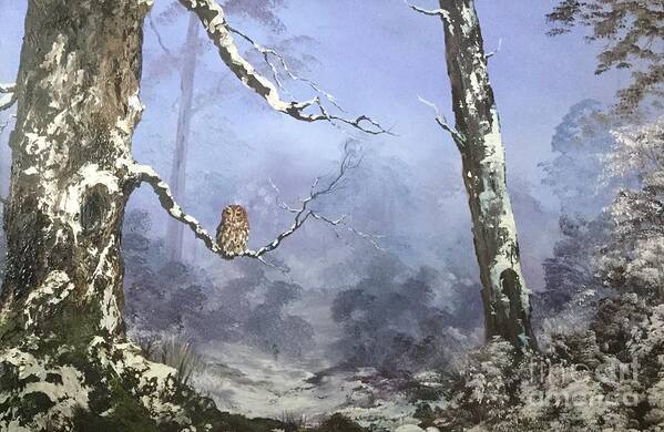 Tawny Owl...trees. Forest. Misty. Mest. Eggs. Pedator Poster featuring the painting Solitude by Jean Walker