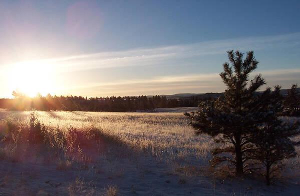 Prairie Poster featuring the photograph Sparkly Morning by JK Dooley