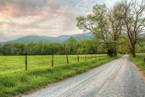 Smoky Mountains Poster featuring the photograph Sparks Lane Sunrise by Nancy Dunivin