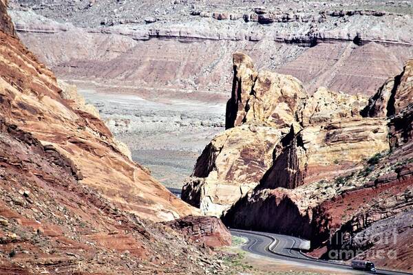 Utah Poster featuring the photograph Spotted Wolf Canyon Utah by Merle Grenz