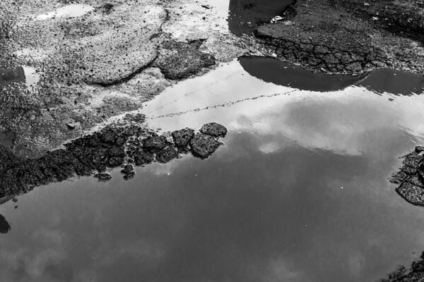 Rain Puddle Poster featuring the photograph Spring Clouds Puddle Reflection by John Williams