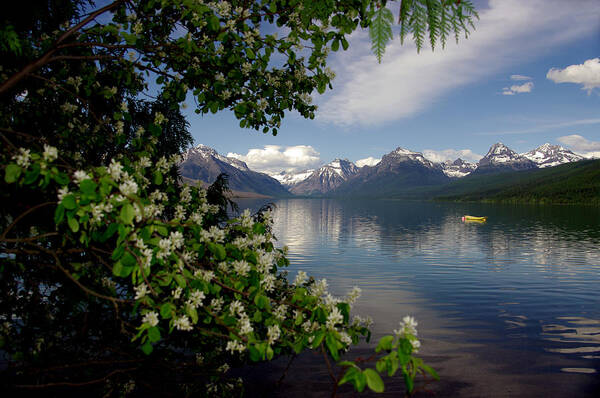 Lanscape Poster featuring the photograph Spring Flowers Frame Lake McDonald in Glacier National Park by Larry Kjorvestad