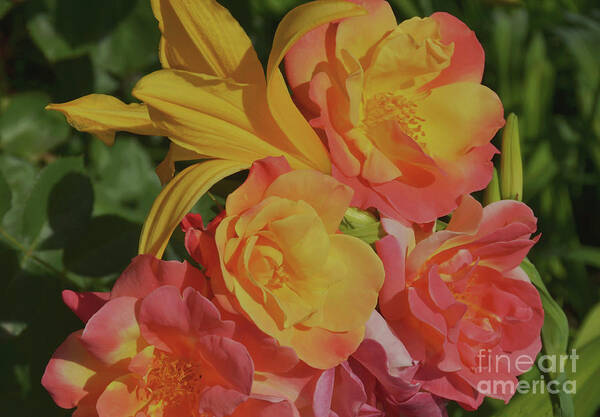 Garden Poster featuring the photograph Spring Garden Bouquet by Debby Pueschel