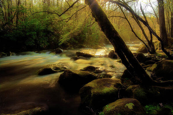 River Poster featuring the photograph Spring Time Along The River by Mike Eingle