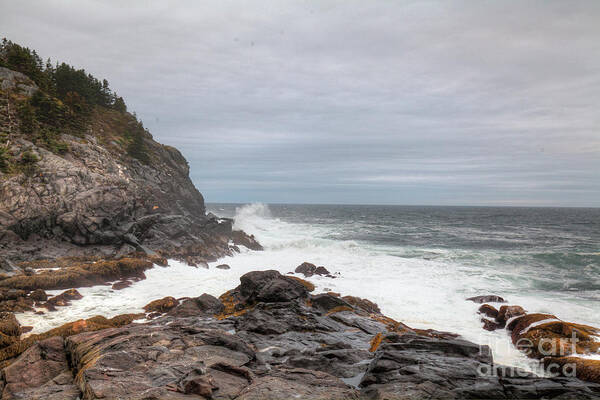 Monhegan Island Poster featuring the photograph Squeaker Cove by Tom Cameron