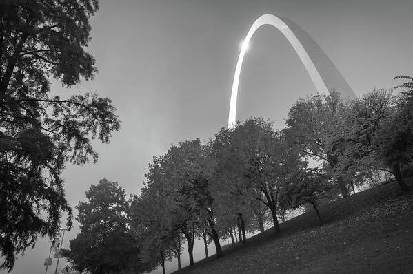 America Poster featuring the photograph St. Louis Arch Behind the Trees - Black and White by Gregory Ballos