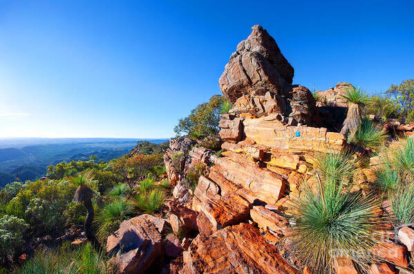 St Mary Peak Wilpena Pound Flinders Ranges Outback South Australia Australian Landscape Landscapes Rocky Outcrop Early Morning Poster featuring the photograph St Mary Peak Wilpena Pound by Bill Robinson