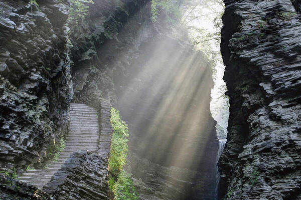 Watkins Glen Poster featuring the photograph Stairway Into the Light by Gene Walls