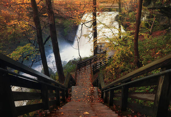 Waterfall Poster featuring the photograph Stairway to Brandywine by Rob Blair