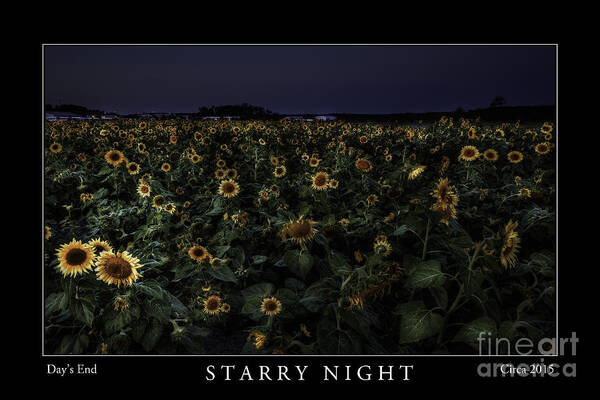 Fine Art Poster featuring the photograph Starry Night by Gene Bleile Photography 