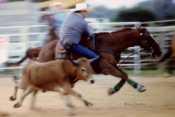 Steer Wrestling Poster featuring the photograph Steer Wrestling Dilemma by Kae Cheatham