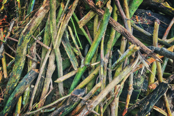 Wisconsin Landscape Poster featuring the photograph Stick Pile at Retzer Nature Center by Jennifer Rondinelli Reilly - Fine Art Photography