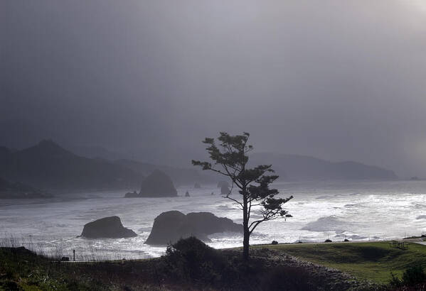 Pacific Ocean Poster featuring the photograph Stormy Beach by Cathy Anderson
