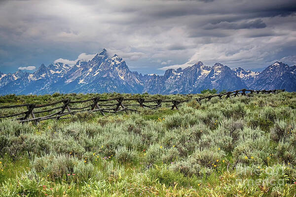 Grand Tetons Poster featuring the photograph Stormy Grand Tetons and a Fence by Teresa Zieba