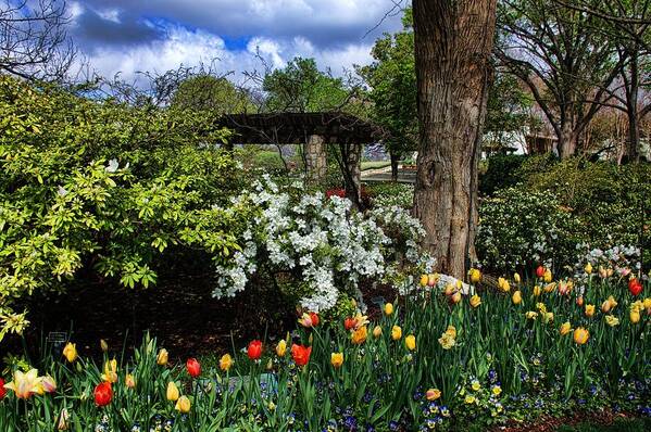 Spring Poster featuring the photograph Stormy Morning in My Garden by Diana Mary Sharpton