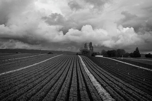 Storm Poster featuring the photograph Stormy Skies by Morgan Wright