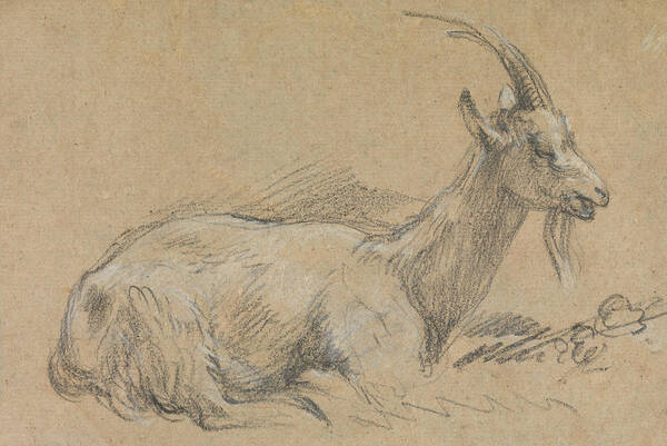 18th Century Art Poster featuring the drawing Study of a Goat by Thomas Gainsborough
