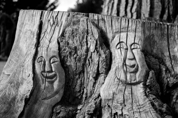 Tree Stump Poster featuring the photograph Stump faces 2 by Stephen Holst