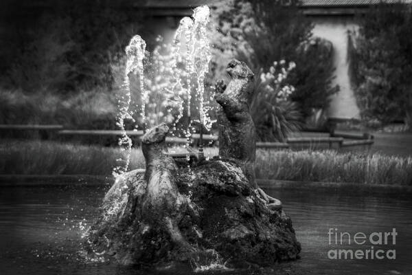 Chester Zoo Fountain Lawn Poster featuring the photograph Stunning Chester Zoological Gardens by Doc Braham