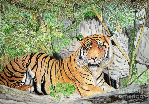 Sumatran Tiger Poster featuring the painting Sumatran Tiger by Yvonne Johnstone