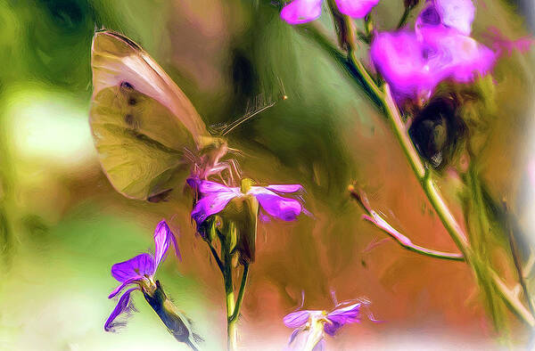 Insect Poster featuring the tapestry - textile Summer Butterfly by Dennis Bucklin