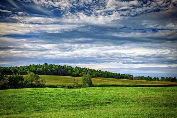 Morning Poster featuring the photograph Summer Morning in Freeport Maine by Rick Berk