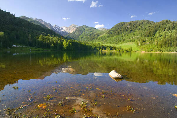 Blue Poster featuring the photograph Summer Reflections by Mark Smith