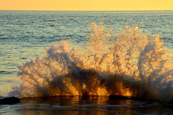 Ocean Poster featuring the photograph Sunburst Splash by Dianne Cowen Cape Cod Photography