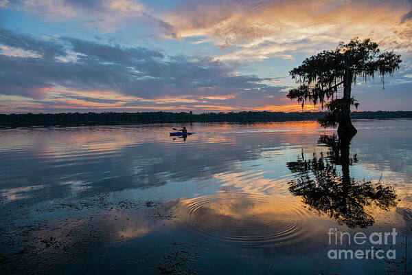 Kayak Poster featuring the photograph Sundown Kayaking at Lake Martin Louisiana by Bonnie Barry