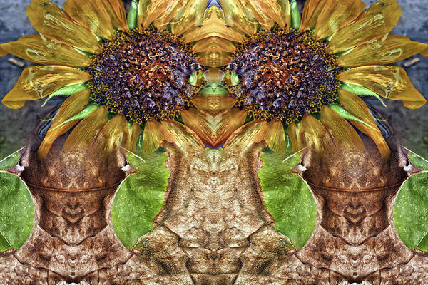 Split Personality Poster featuring the digital art Sunflower Guards by Becky Titus