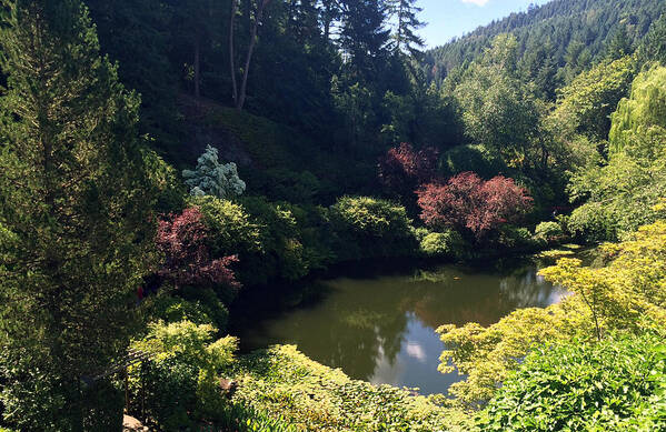 Sunken Lake Poster featuring the photograph Sunken Lake Butchart Garden by Portraits By NC