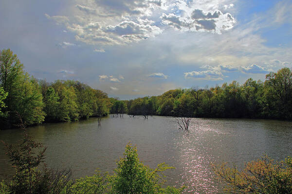 Alum Creek Poster featuring the photograph Sunlit Clouds by Angela Murdock