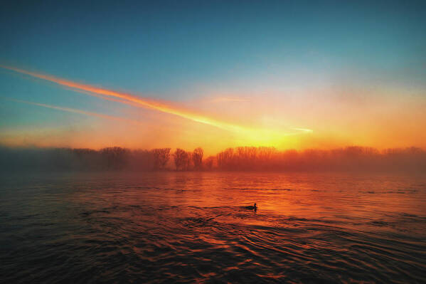 Duck Poster featuring the photograph Sunrise at the Riverside by Marc Braner