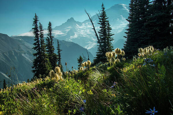 Mt Rainier Poster featuring the photograph Sunrise Heaven by Doug Scrima