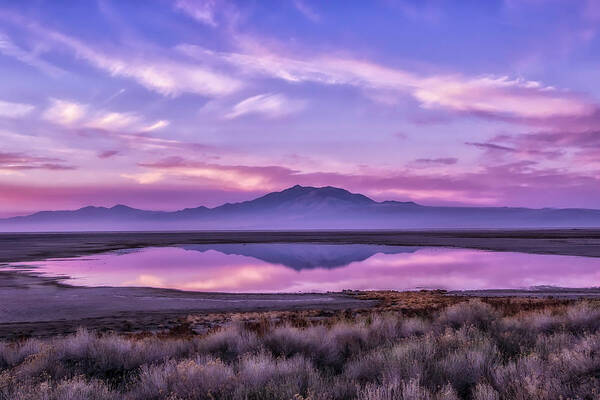 Antelope Island Poster featuring the photograph Sunrise on Antelope Island by Kristal Kraft