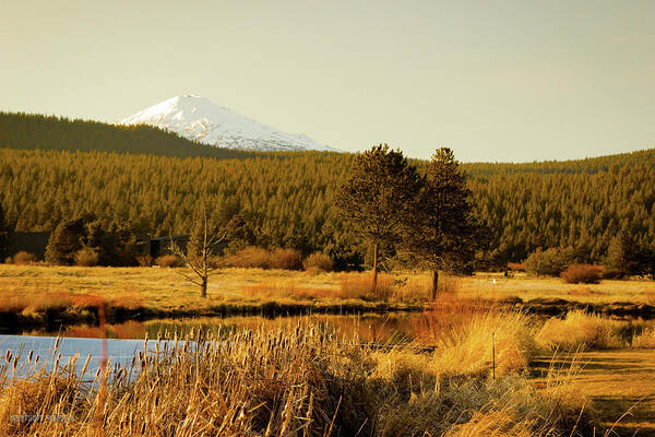 Oregon Poster featuring the photograph Sunriver, Central Oregon by Aashish Vaidya