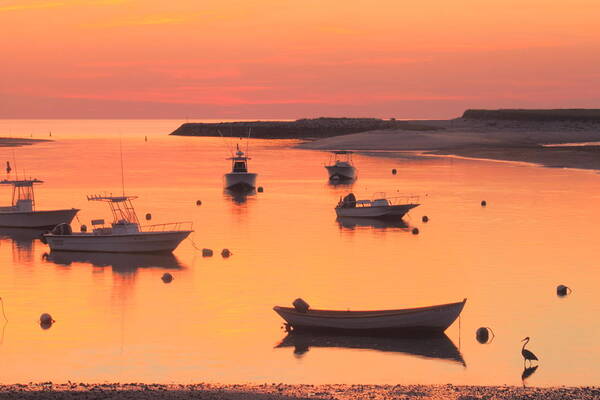 Cape Cod Poster featuring the photograph Sunset and Great Blue Heron Pamet Harbor Cape Cod by John Burk