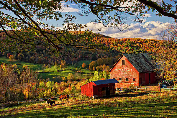 Sunset At Maple Grove Farm Poster featuring the photograph Sunset at Maple Grove Farm by Priscilla Burgers