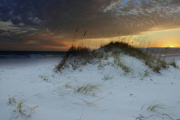 Navarre Poster featuring the photograph Sunset Behind the Sand Dune by Renee Hardison