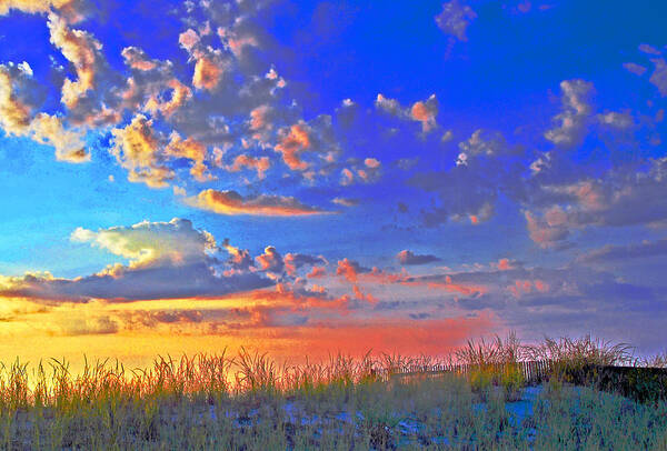 Sundown Poster featuring the photograph Sunset over sand dune by Bill Jonscher